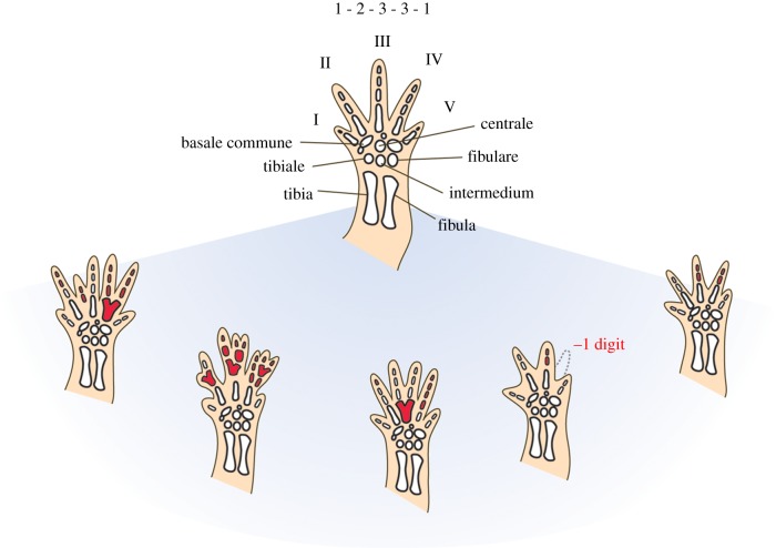 Figure 3.