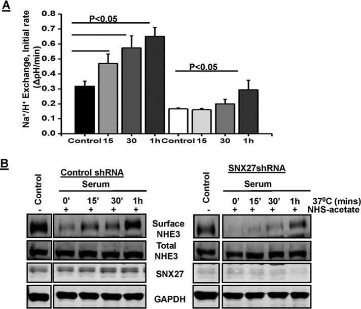 FIGURE 6: