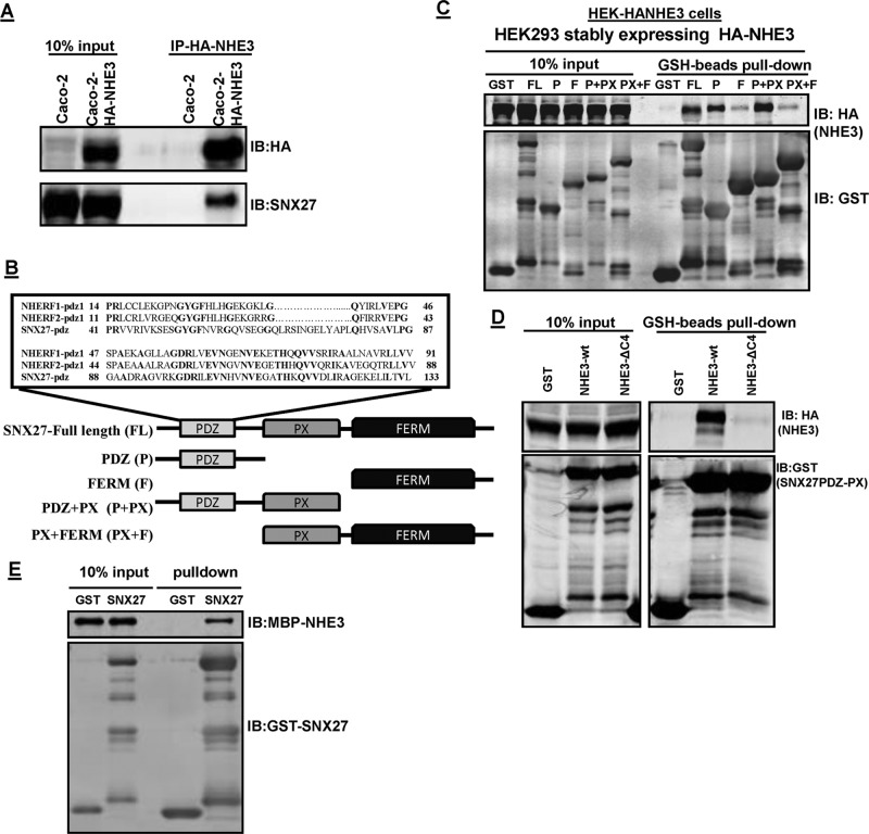 FIGURE 1: