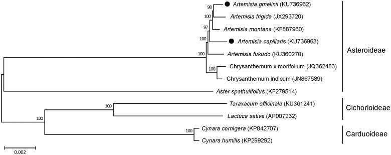 Figure 1.