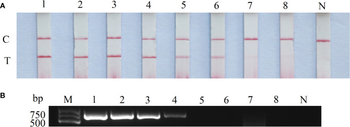 Figure 4