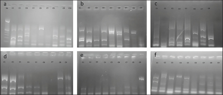 Fig. 5.