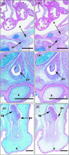 Fig. 8