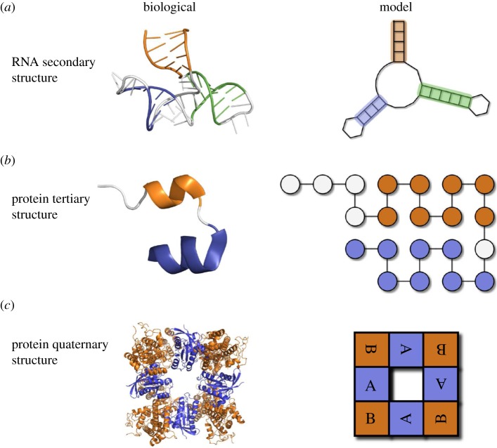 Figure 1.