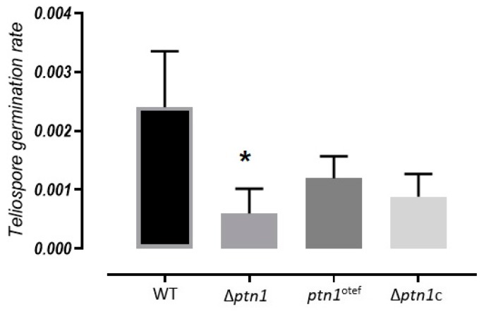 Figure 10