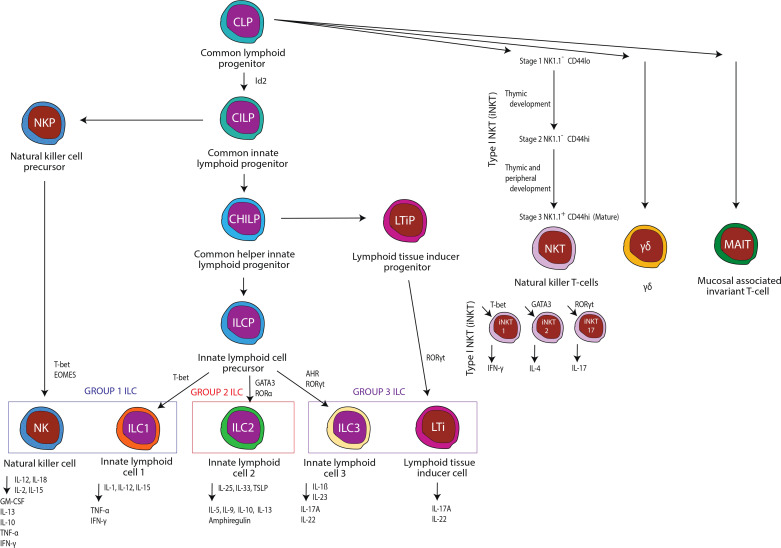 Figure 1