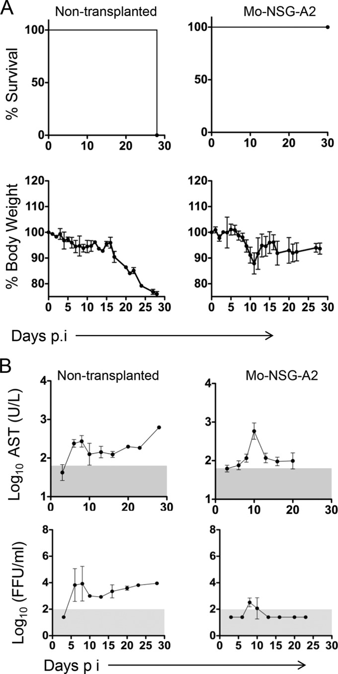 FIG 3