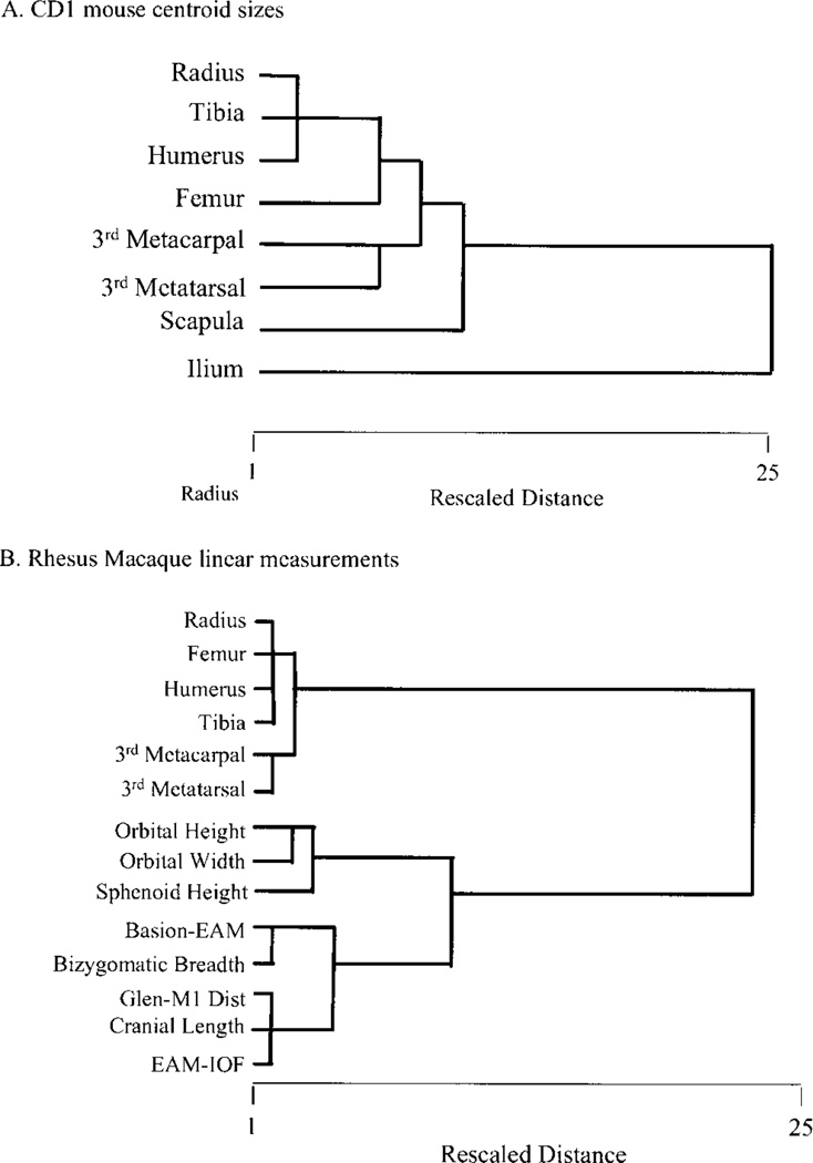 Fig. 11