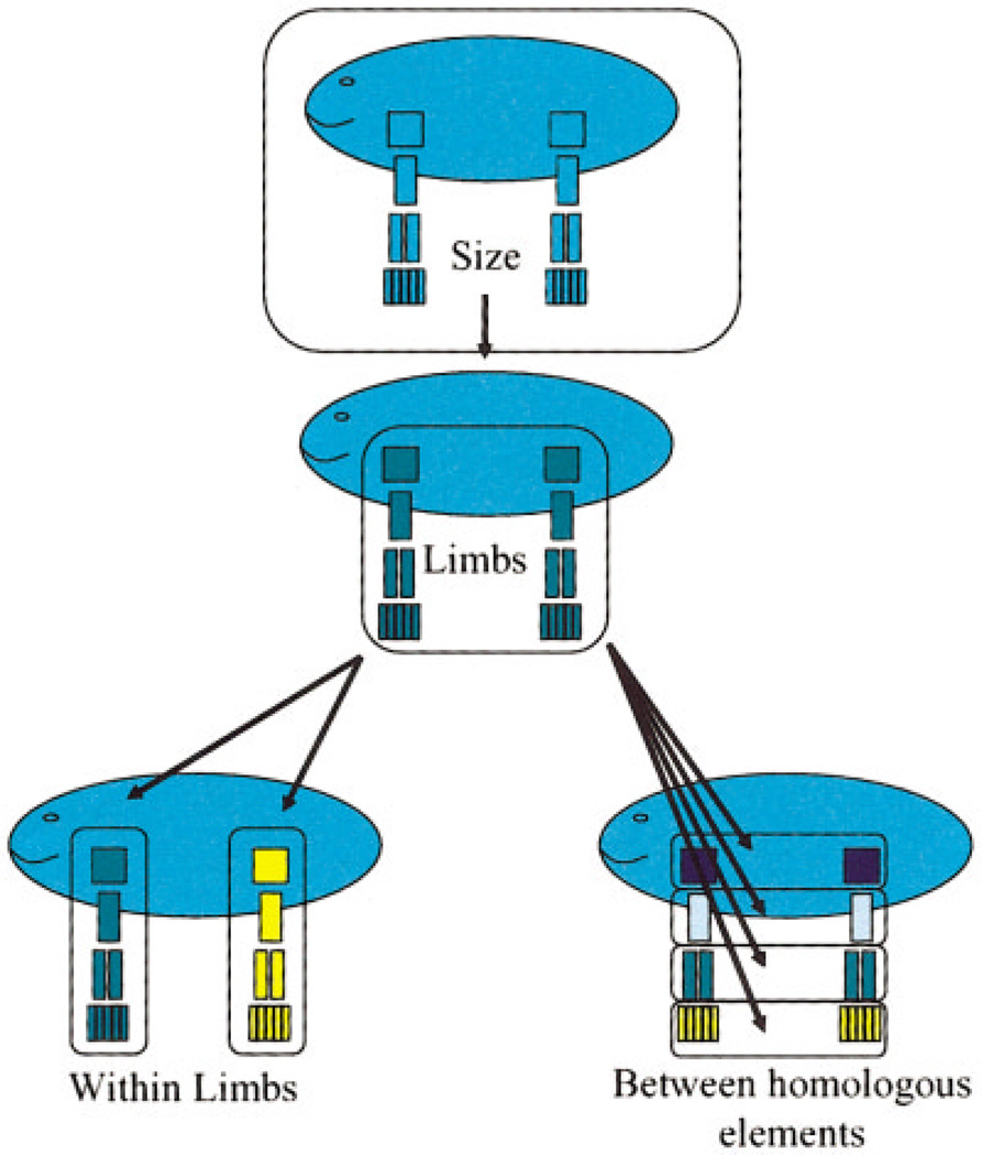 Fig. 5