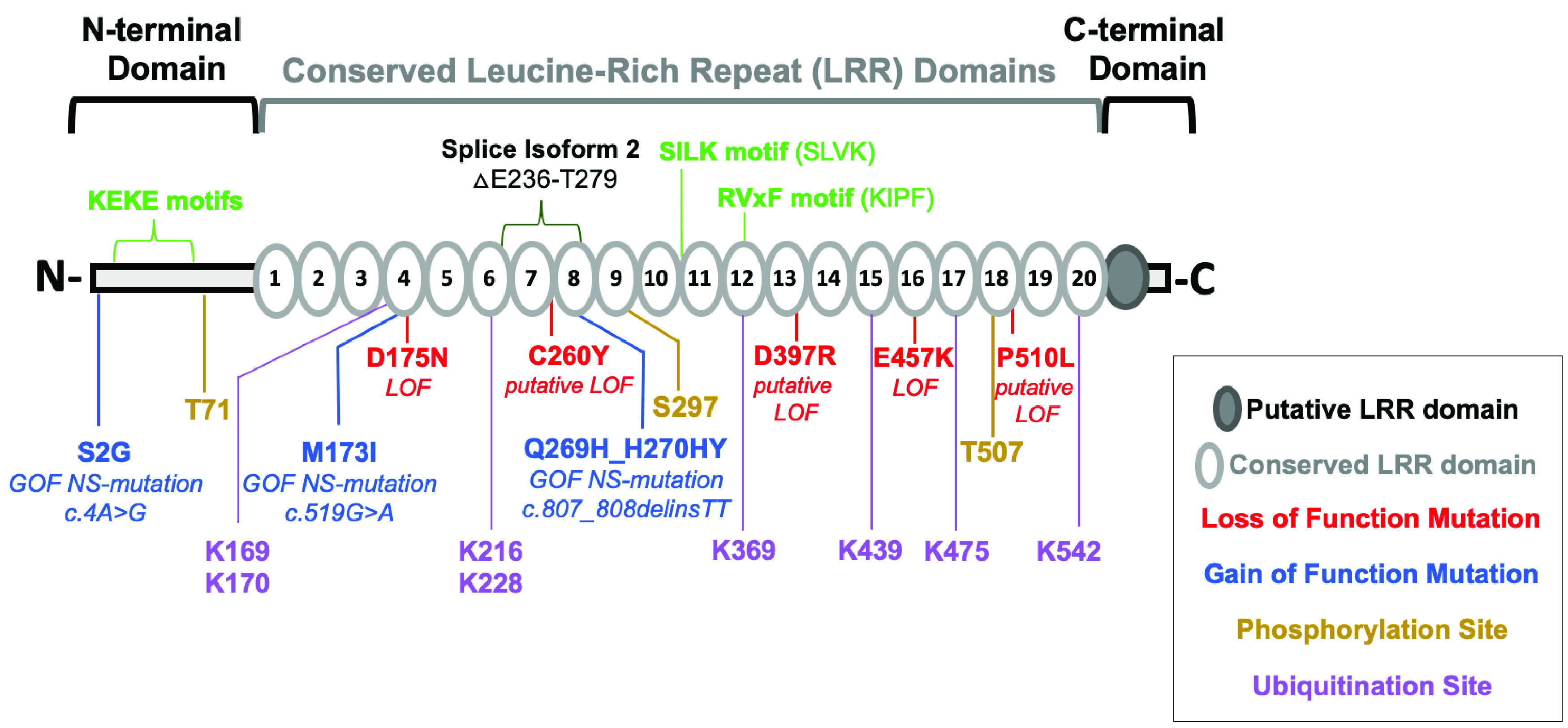 FIG 2