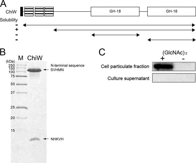 Fig 5