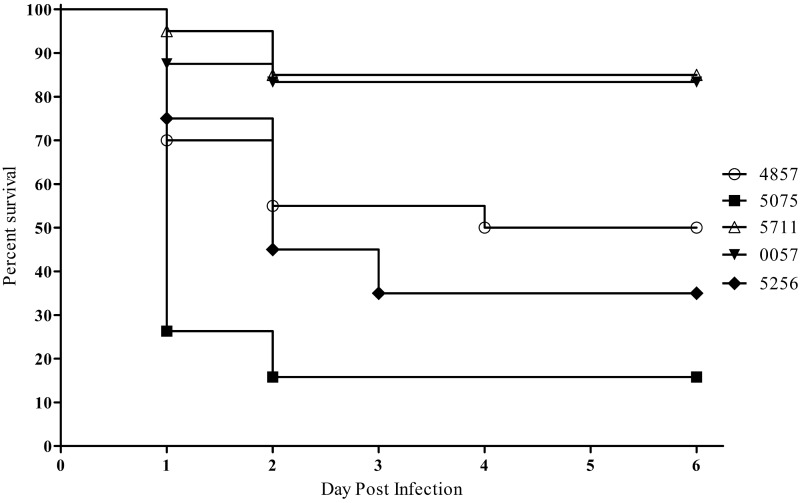 FIG 2 