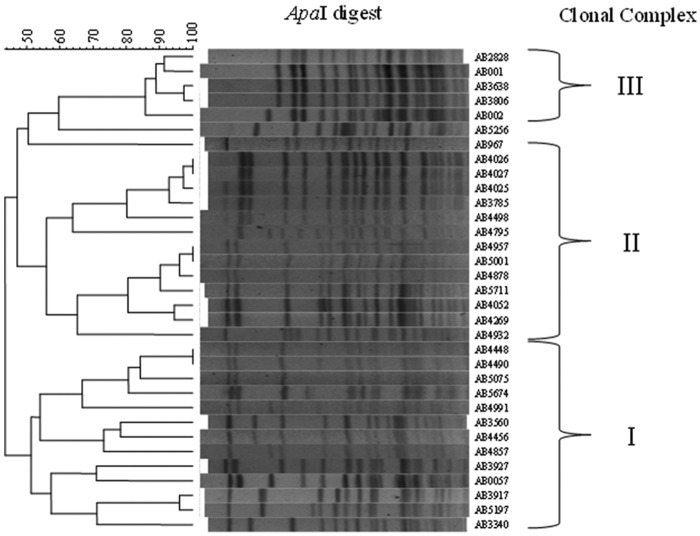 FIG 1 