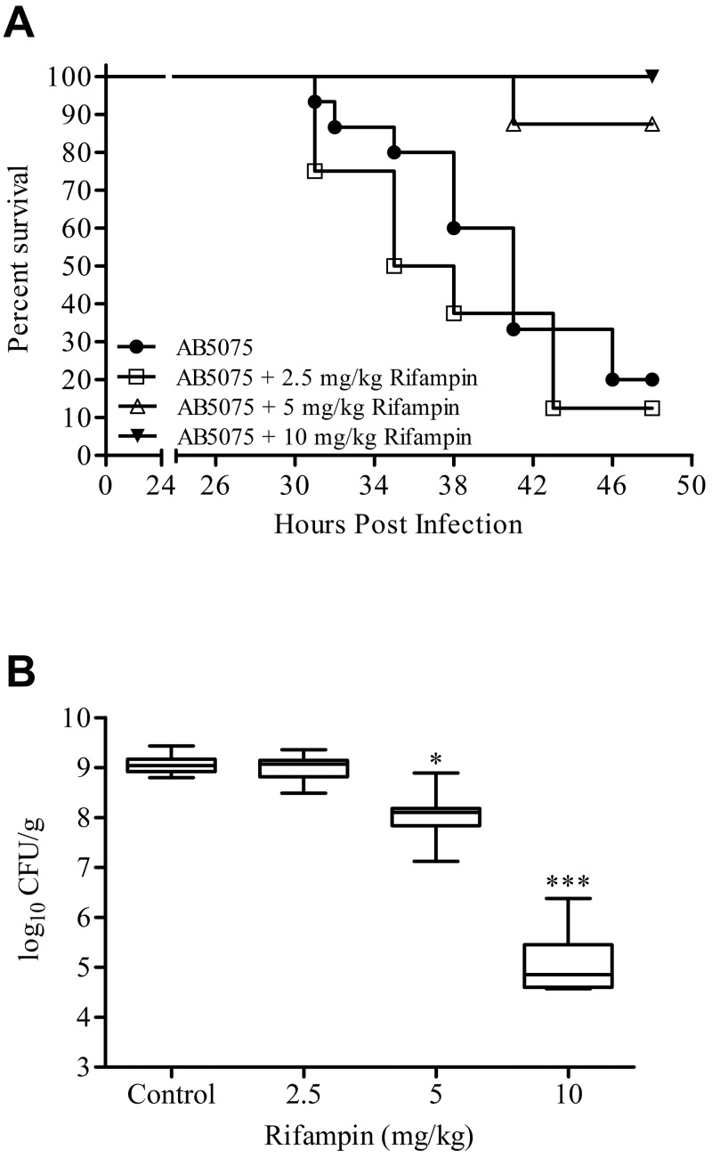 FIG 6 