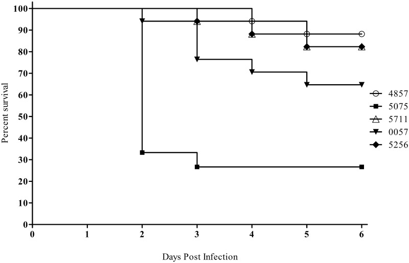 FIG 3 