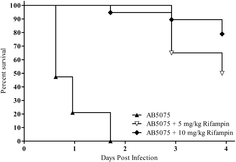 FIG 5 