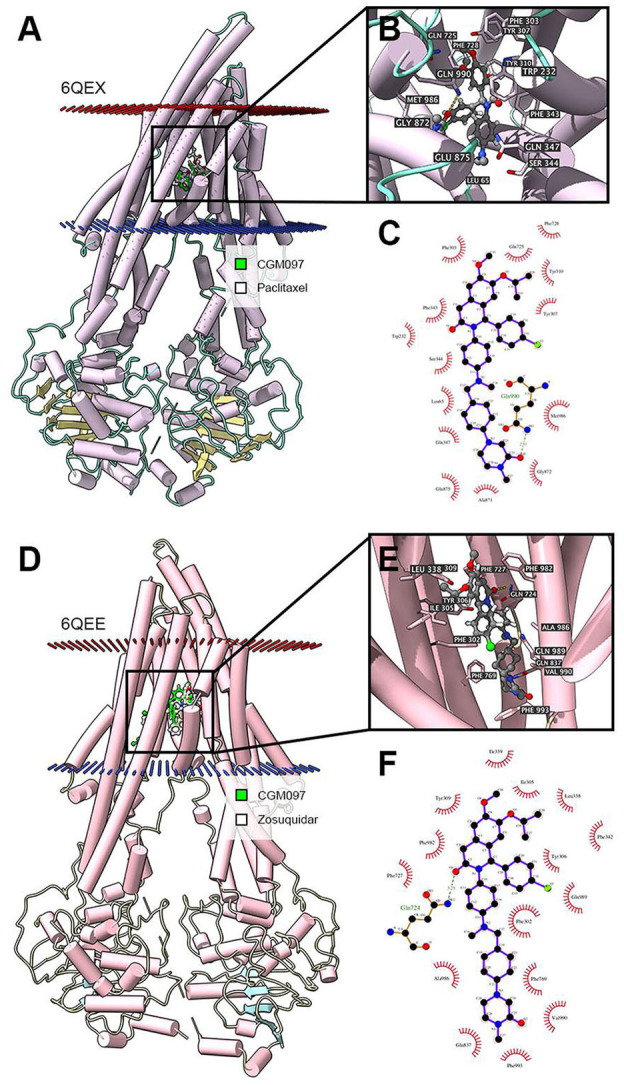 Figure 6