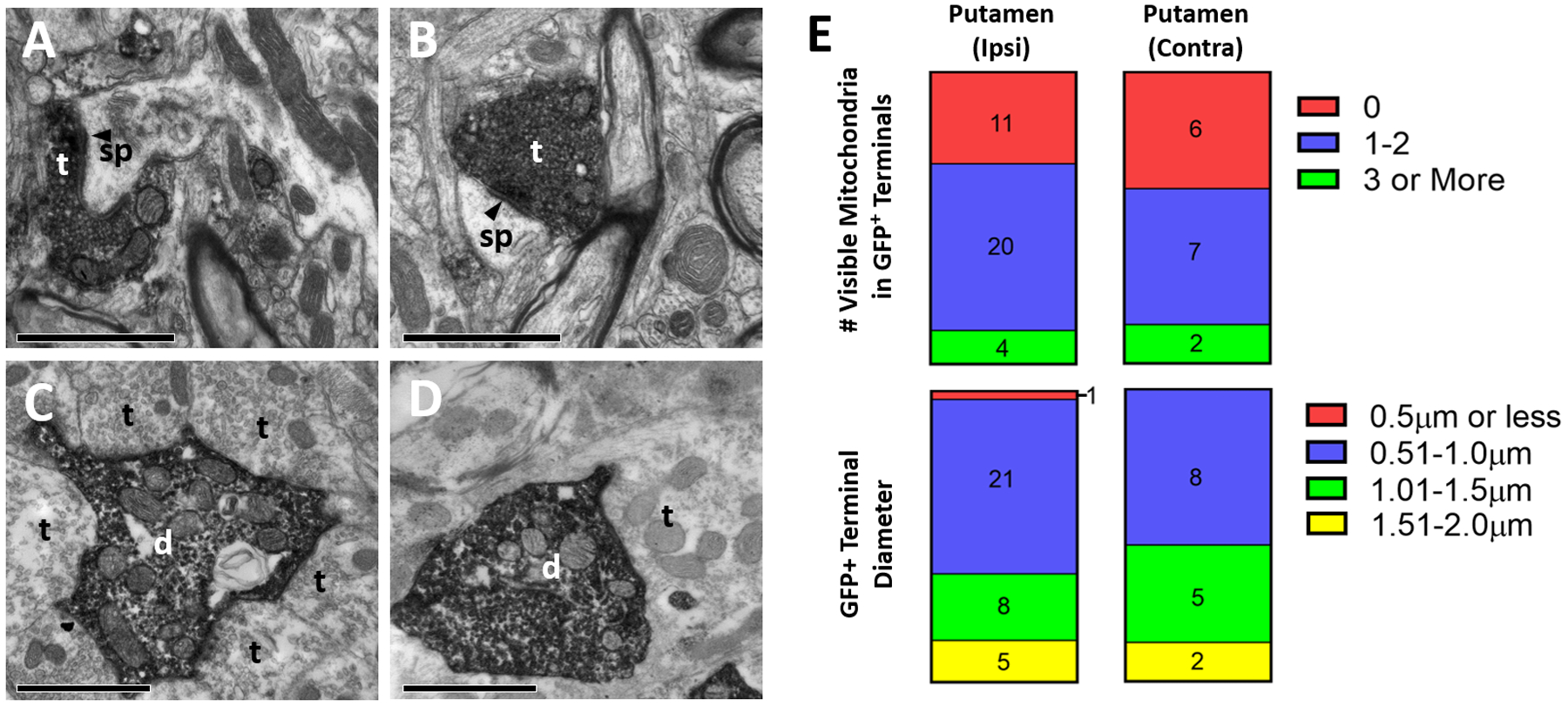 Figure 5: