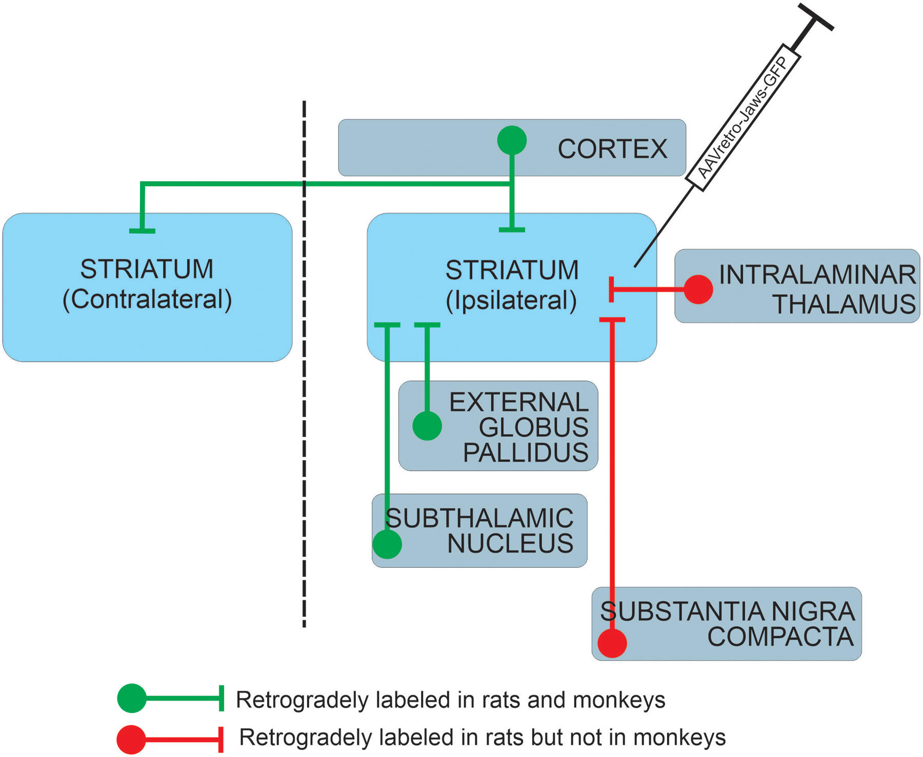 Figure 6: