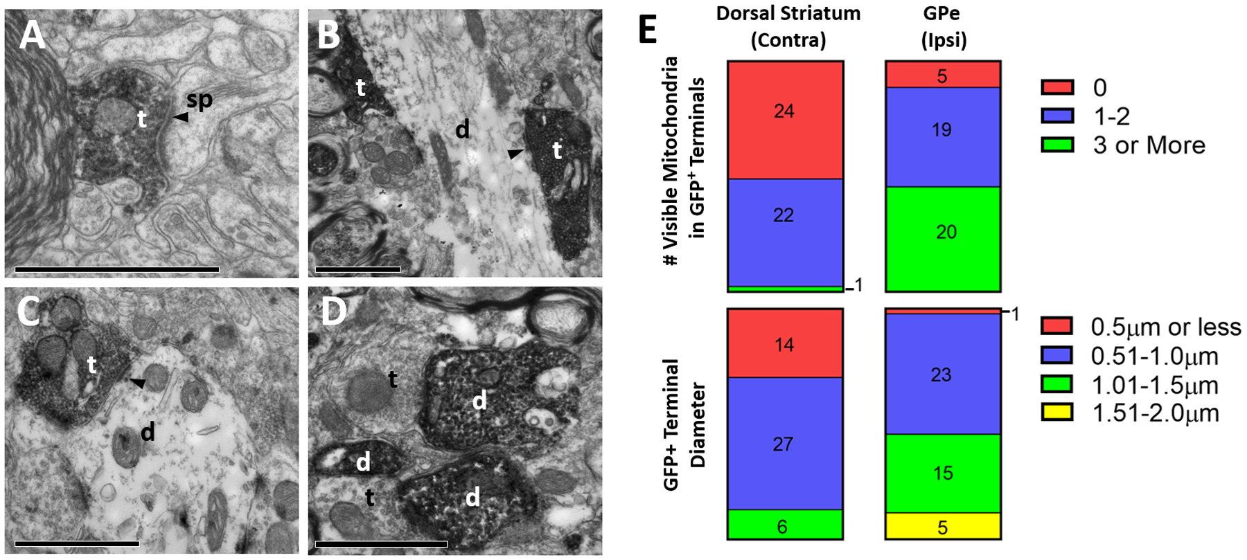 Figure 4: