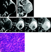 Fig 3.