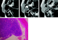 Fig 2.