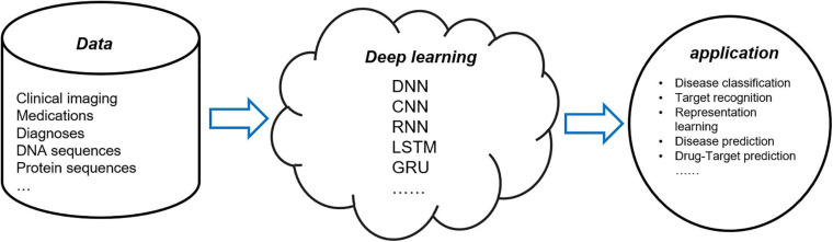 FIGURE 1