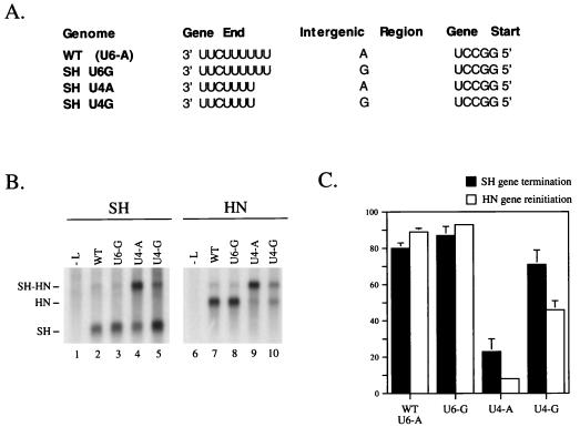 FIG. 6