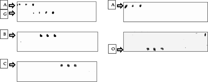 Fig. 5