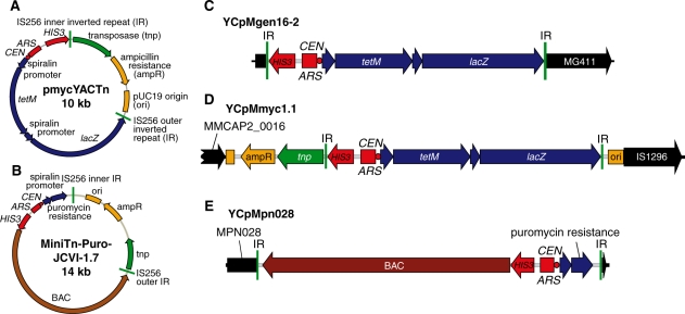 Figure 2.