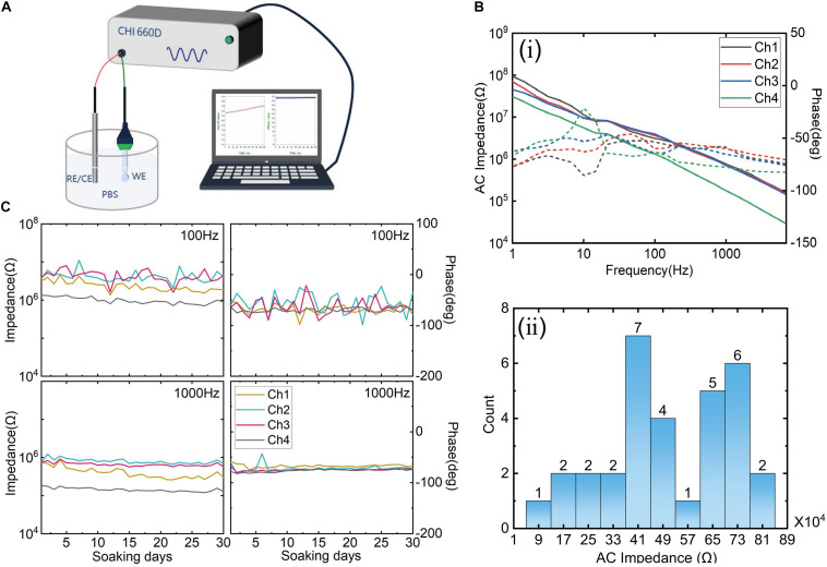 FIGURE 3