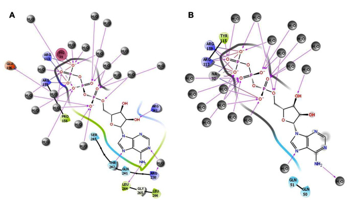 Fig. 11