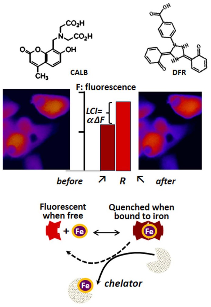 FIGURE 3