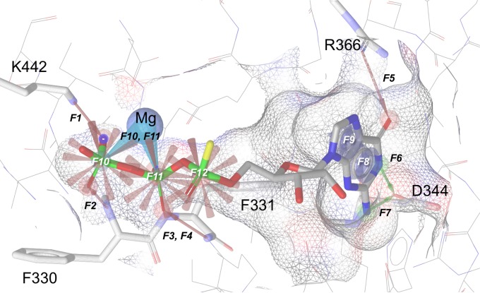 FIG 1