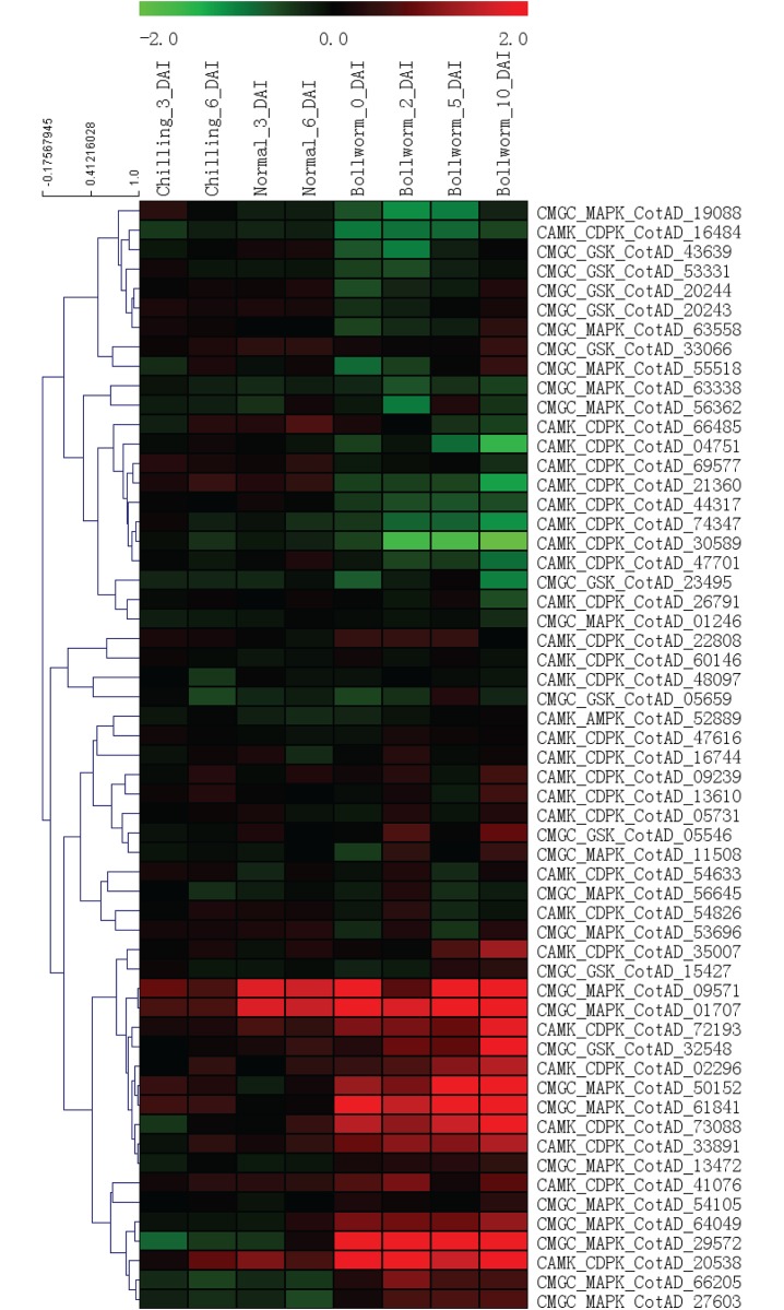 Fig 6