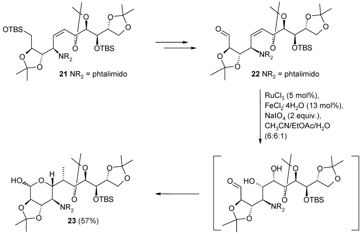 Scheme 16