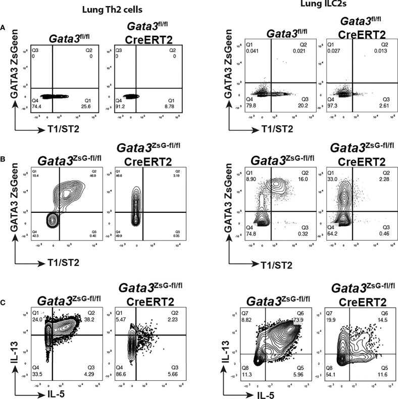 Figure 6