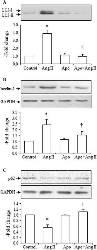 Fig. 6