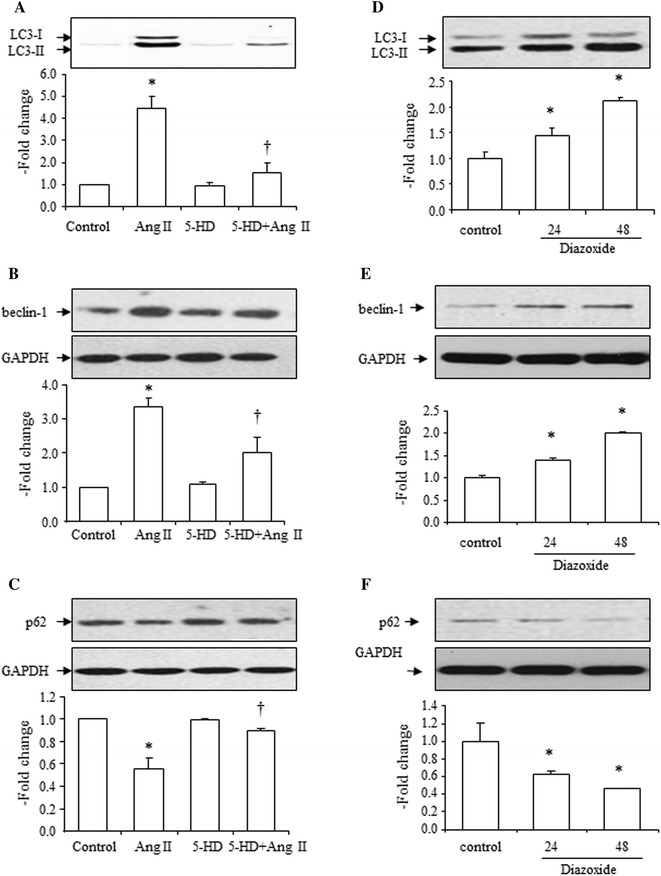 Fig. 7