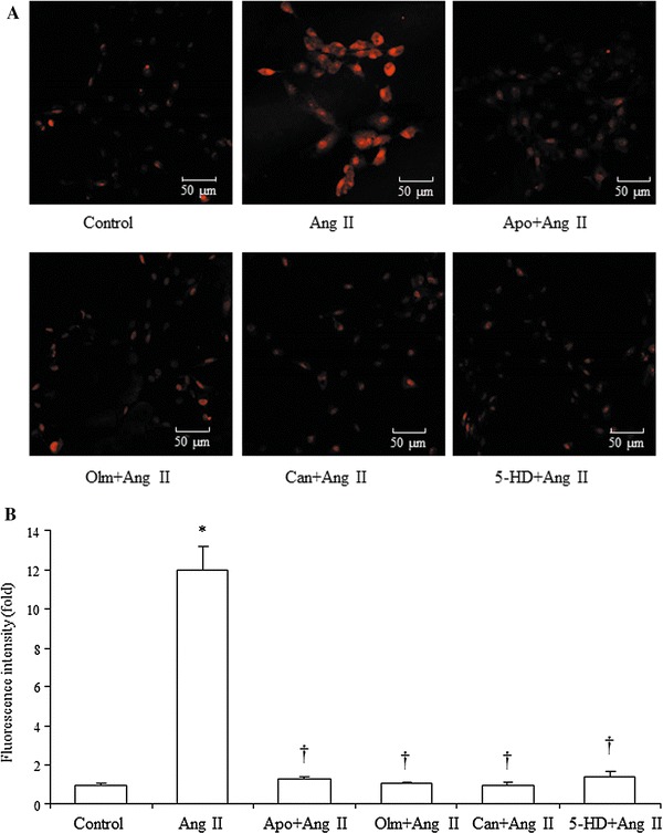 Fig. 4