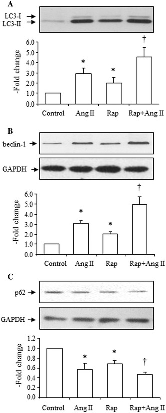 Fig. 9