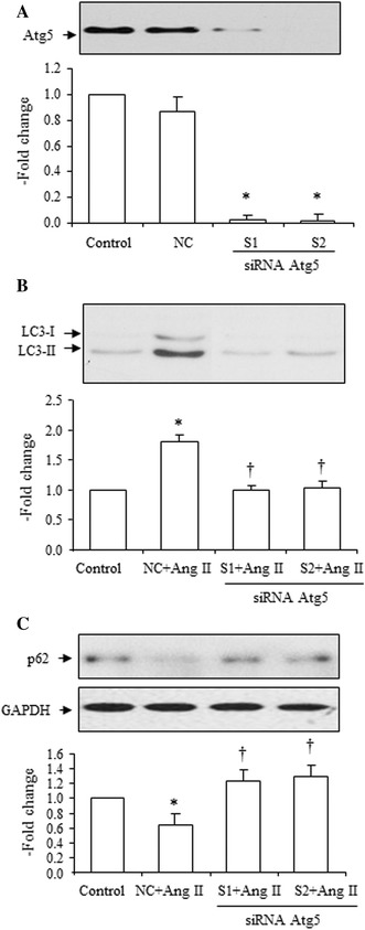 Fig. 8