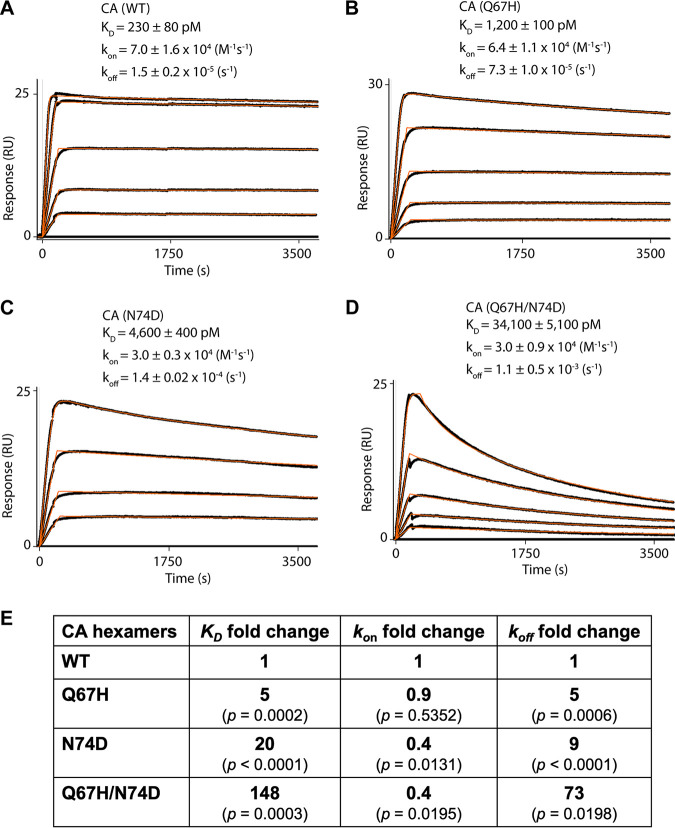 FIG 1