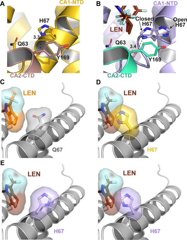 FIG 2