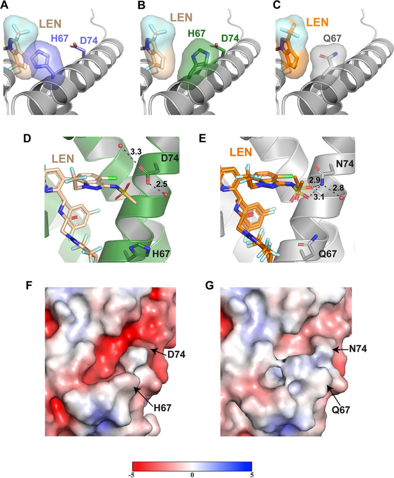 FIG 4