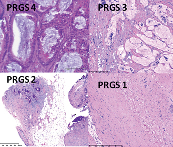 Figure 4: