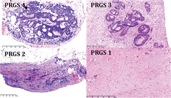 Figure 3: