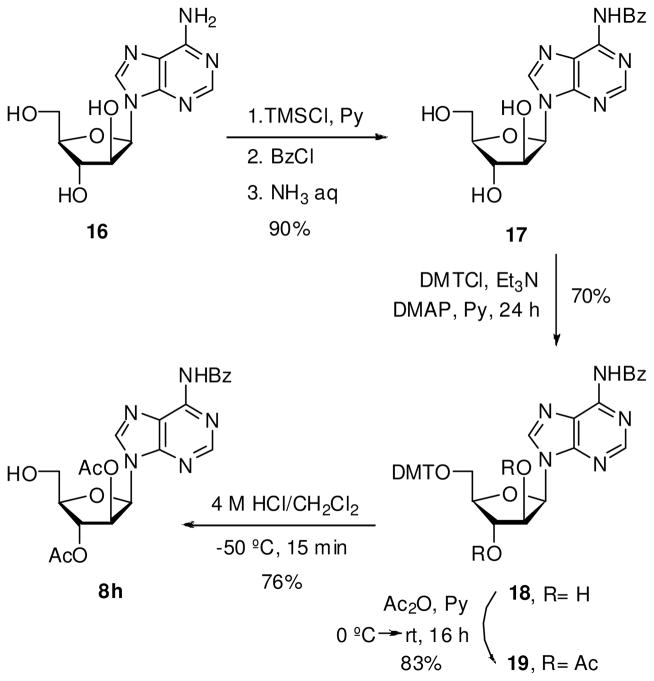 Scheme 6