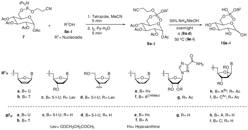 Scheme 2