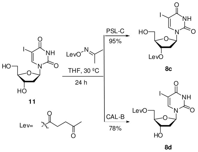 Scheme 3